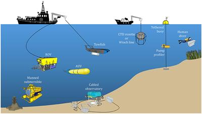 A Review of the Emerging Field of Underwater Mass Spectrometry